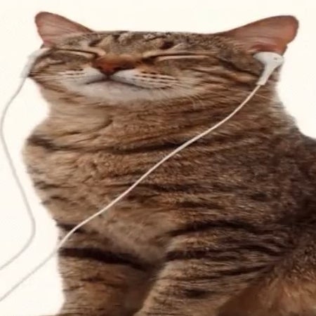 sebbeeeeeeeeeeee