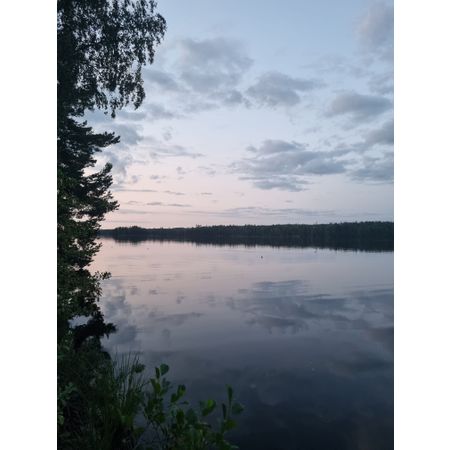MartinMRA
