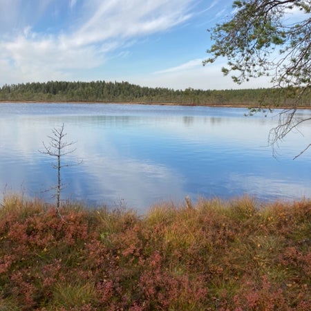 Limaba