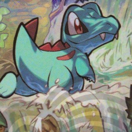Pokemoncatcher