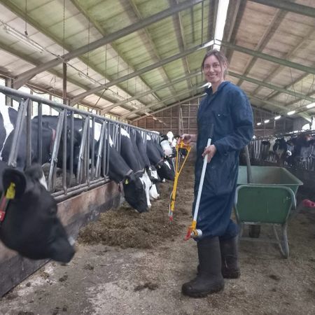 farmlive