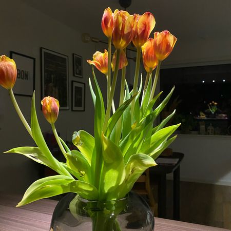 Danas
