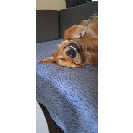 mbjergc
