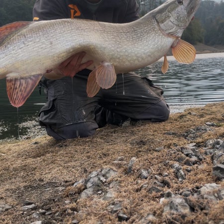 Pikefishing4Life
