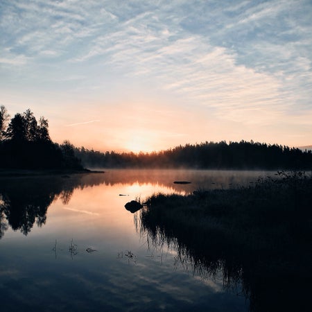 MissLinnea