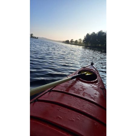 Werka16
