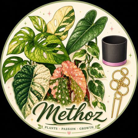 Methozz