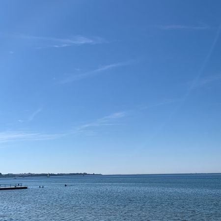 Skånessara