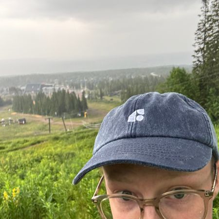 Hansarv