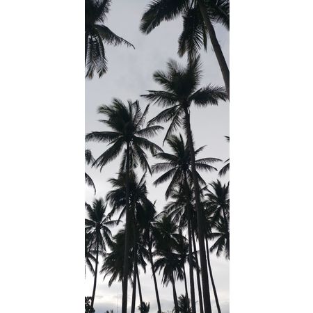 TILWAN