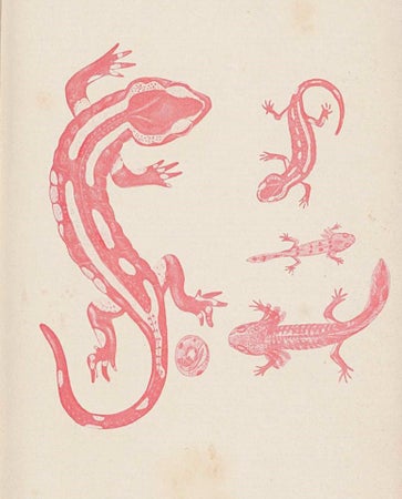 jl2359