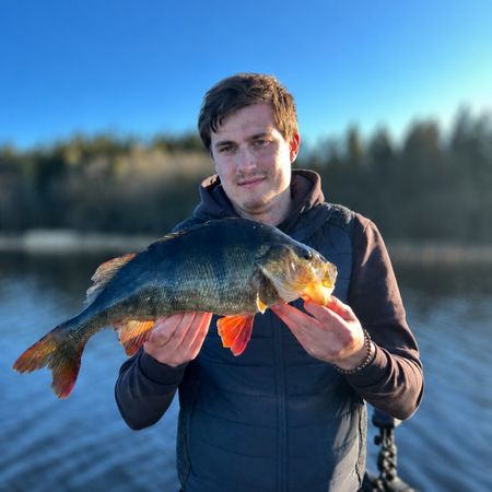 AdamHallberg44