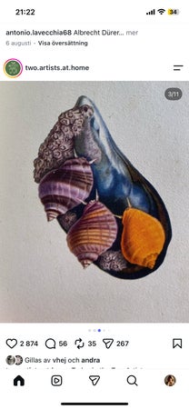Frukorvnos