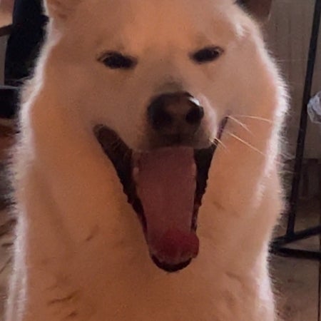 SimonMW03
