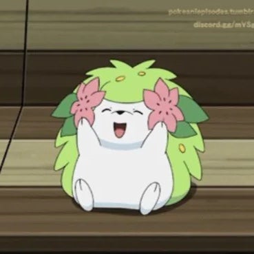 Ricchii