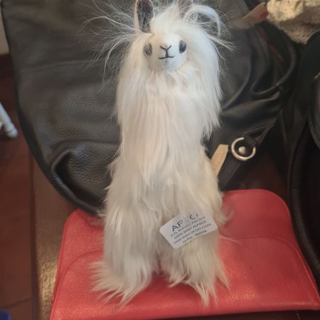 FlyingLlama
