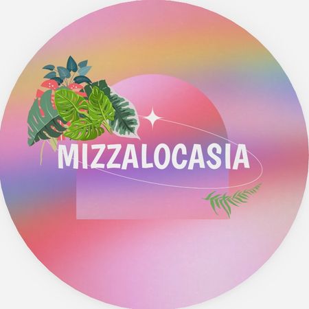 Mizzalocasia
