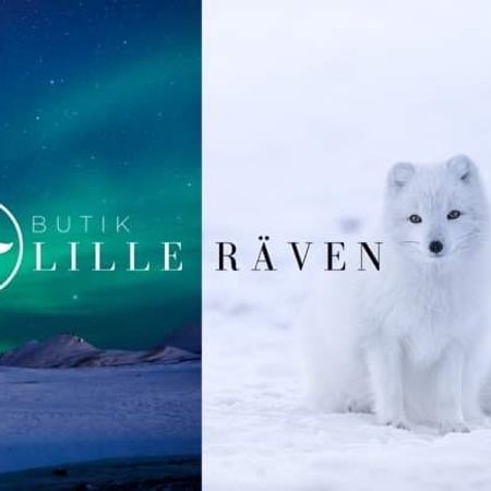 Lilleräven