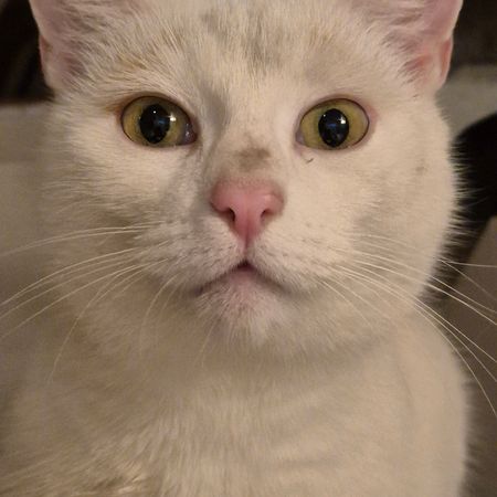 Lalla71
