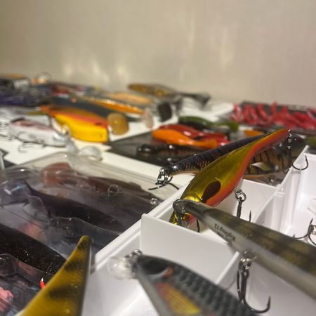 Ottosbaitstore