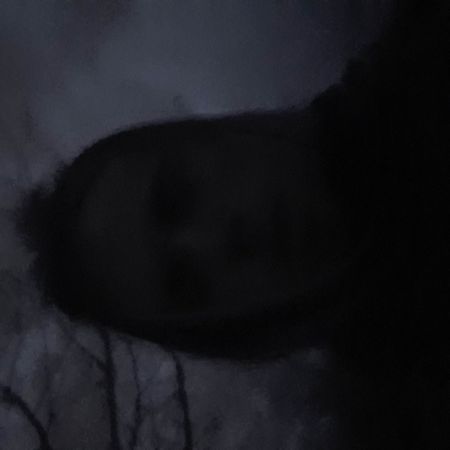 Captus_Philip