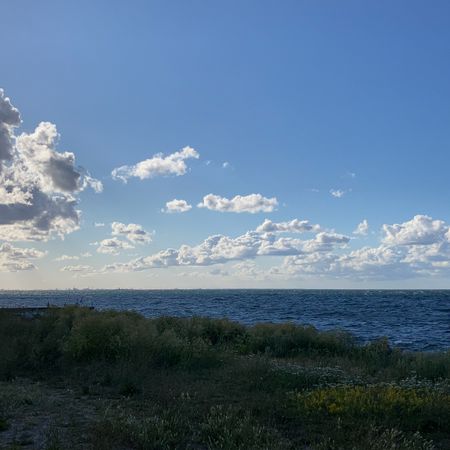 Liliendal
