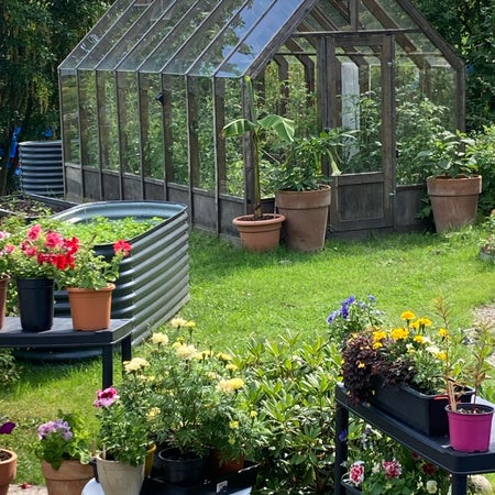 Mixas plantshop