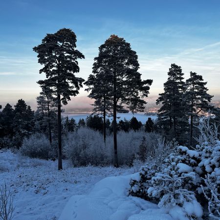 Musik-Nicklas