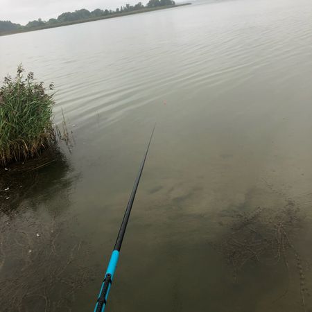 JohansFiskefynd