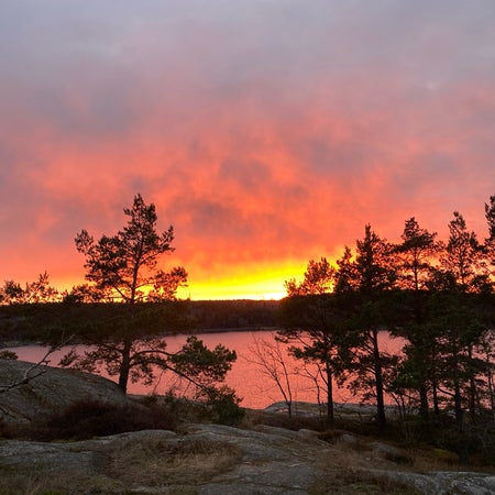 malinmolsson