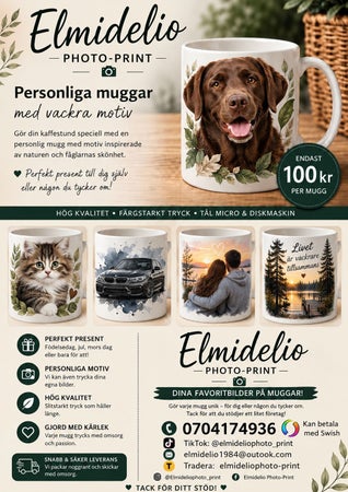 Elmidelio
