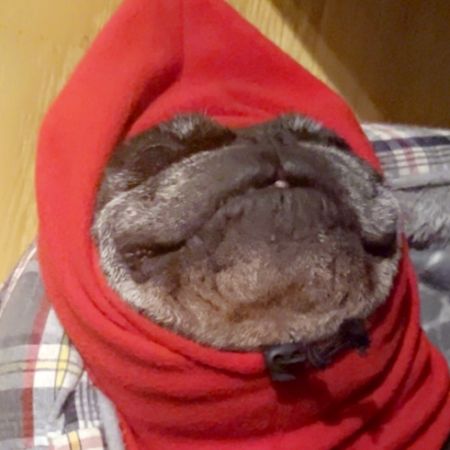 ödlan-roffo