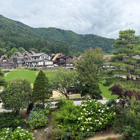 Yunuan