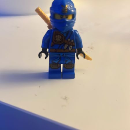 manslegosamling_0811