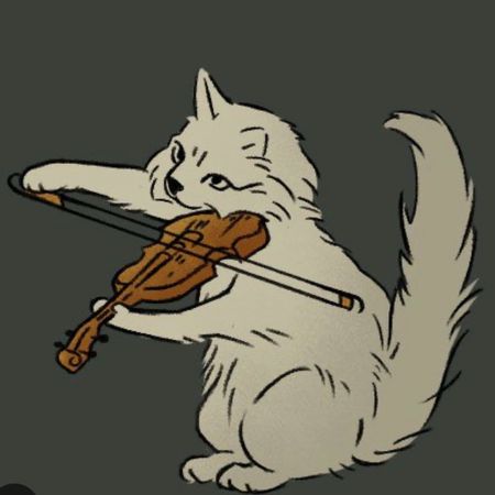 Kattmo