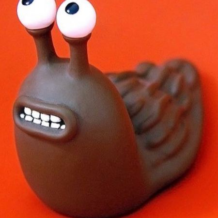 Räsersnigel