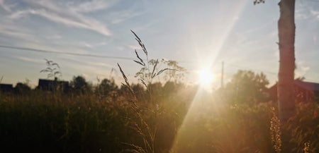 Lovisa.bm