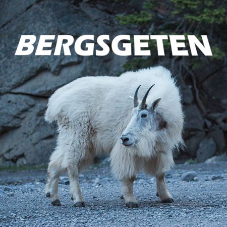 bergsgeten