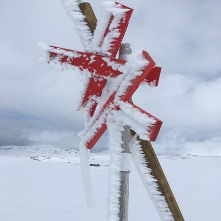 Sagofjäll