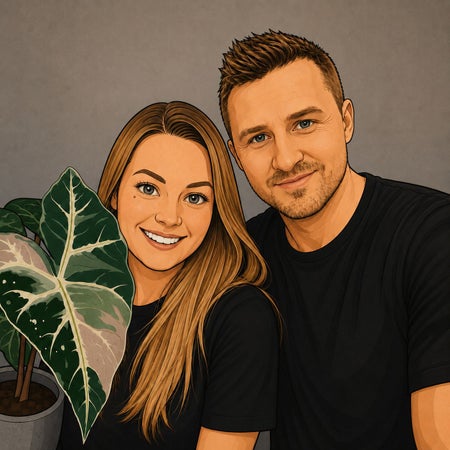 variegated_plantaddict