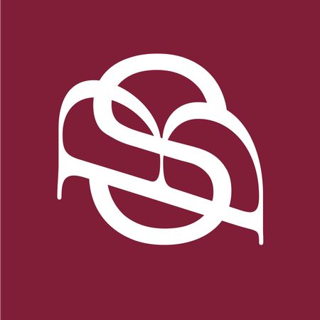 brillostudio