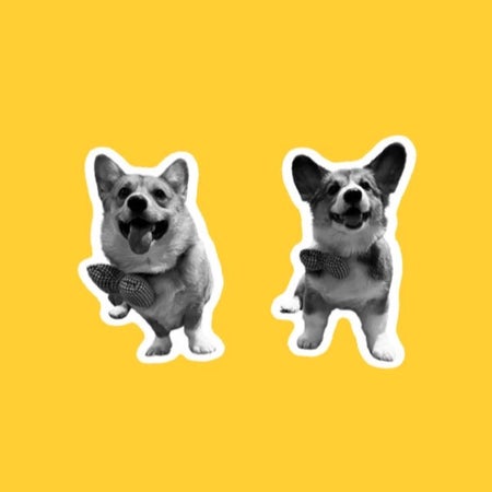 Bambangtut