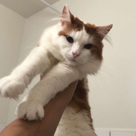 PerPipatS