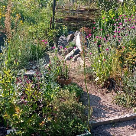 davourgarden