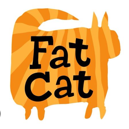 Fat_indoor_cat