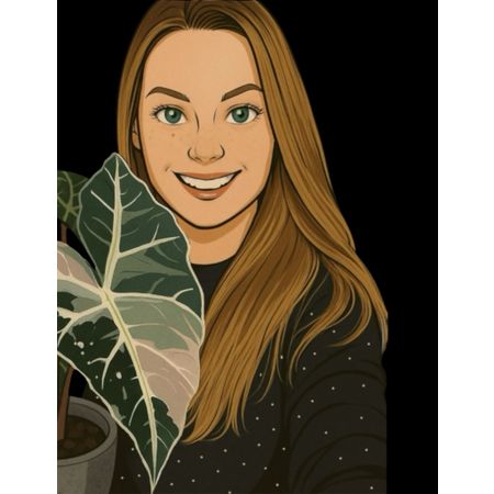 variegated_plantaddict