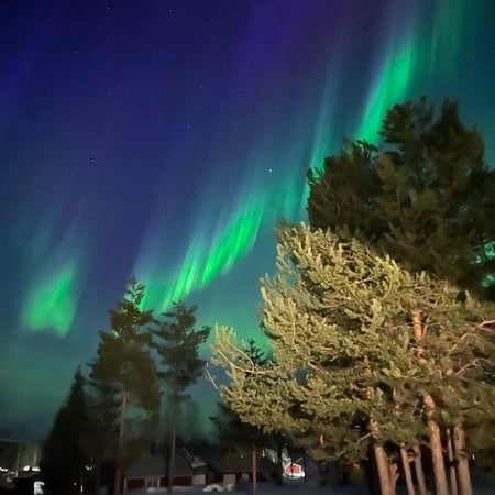 Kaisaiivar