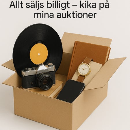 Dizo