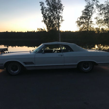 Wildcat 66