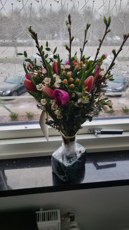 Roseh_09